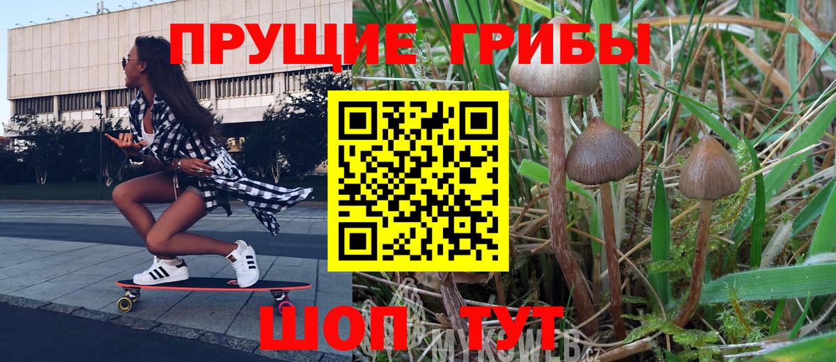 Псилоцибиновые грибы Psilocybe  Вход с VPN  Нижний Тагил 